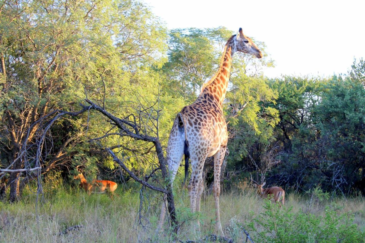 Ndlovu Log Home Dinokeng Klipdrift Εξωτερικό φωτογραφία