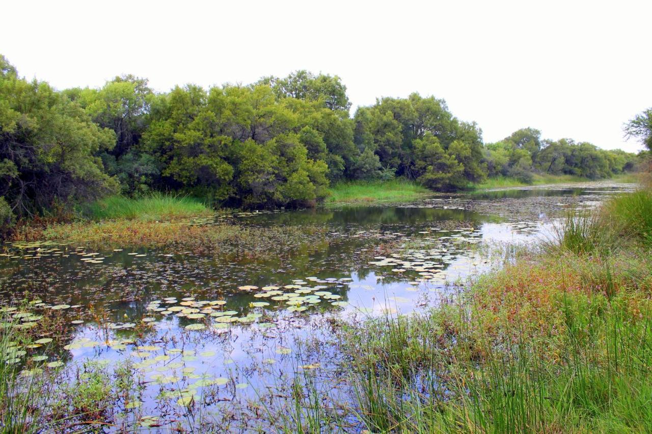 Ndlovu Log Home Dinokeng Klipdrift Εξωτερικό φωτογραφία