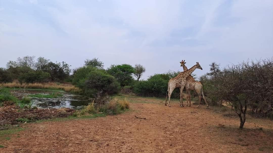 Ndlovu Log Home Dinokeng Klipdrift Εξωτερικό φωτογραφία
