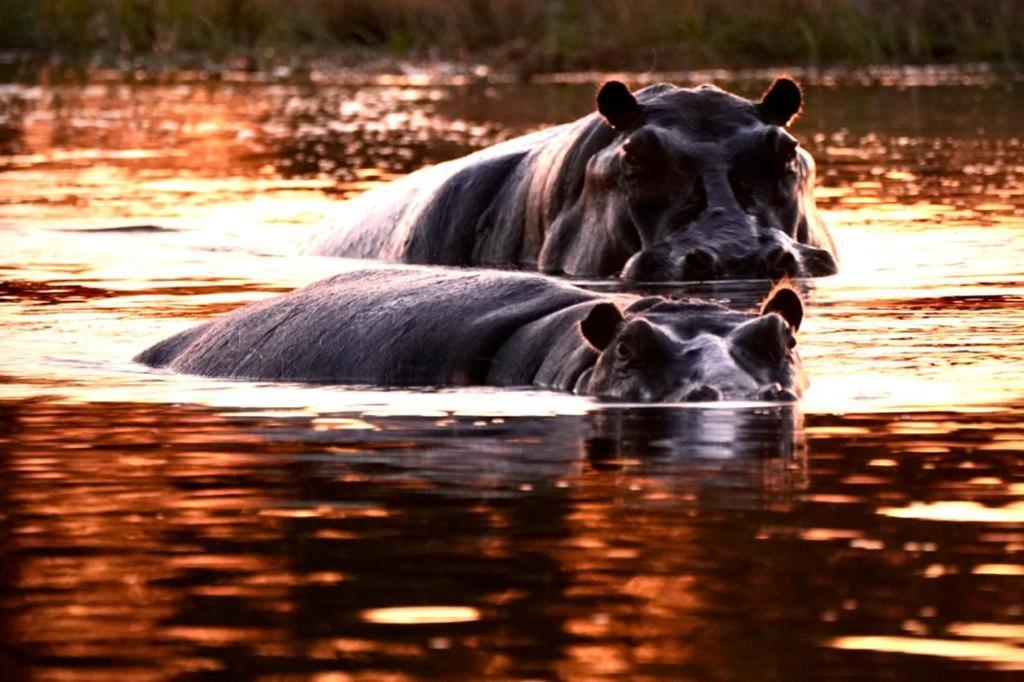 Ndlovu Log Home Dinokeng Klipdrift Εξωτερικό φωτογραφία