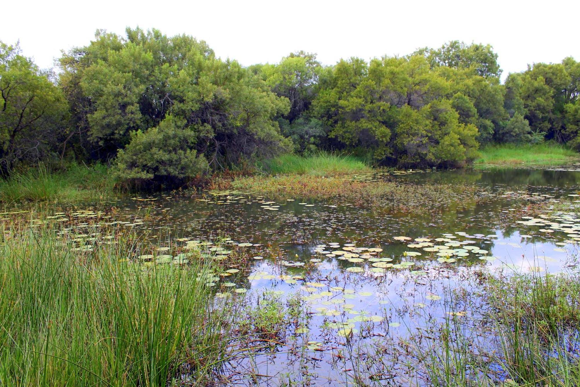 Ndlovu Log Home Dinokeng Klipdrift Εξωτερικό φωτογραφία