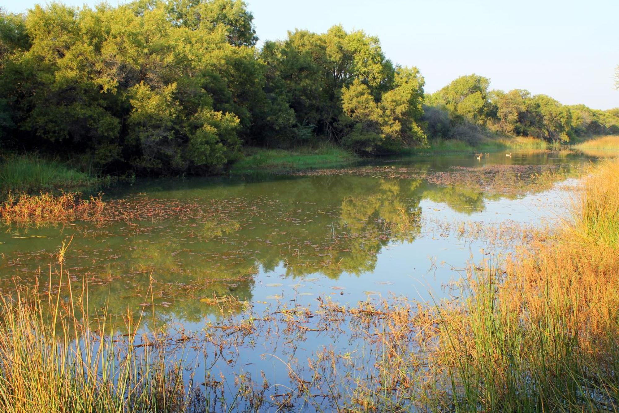 Ndlovu Log Home Dinokeng Klipdrift Εξωτερικό φωτογραφία