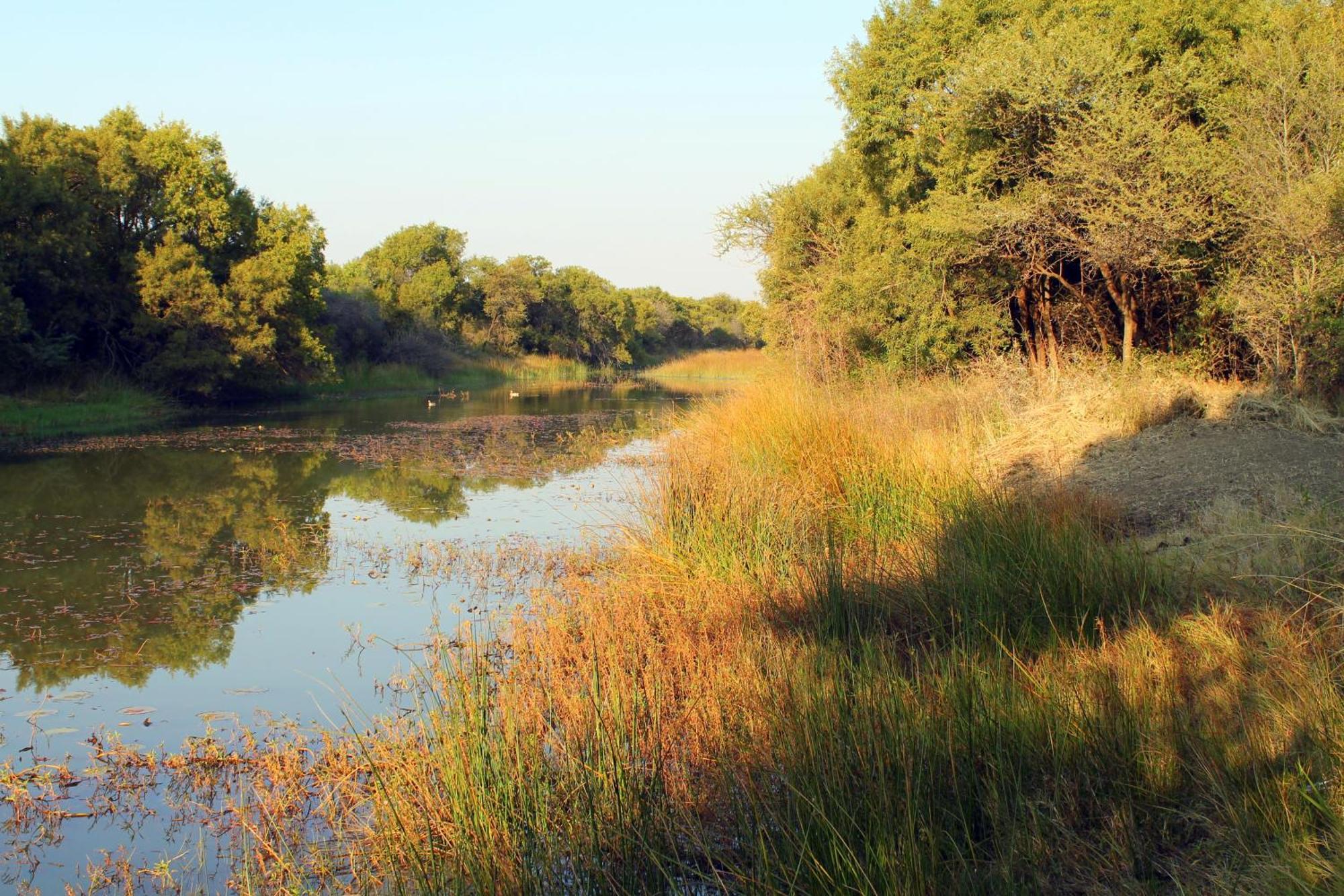 Ndlovu Log Home Dinokeng Klipdrift Εξωτερικό φωτογραφία