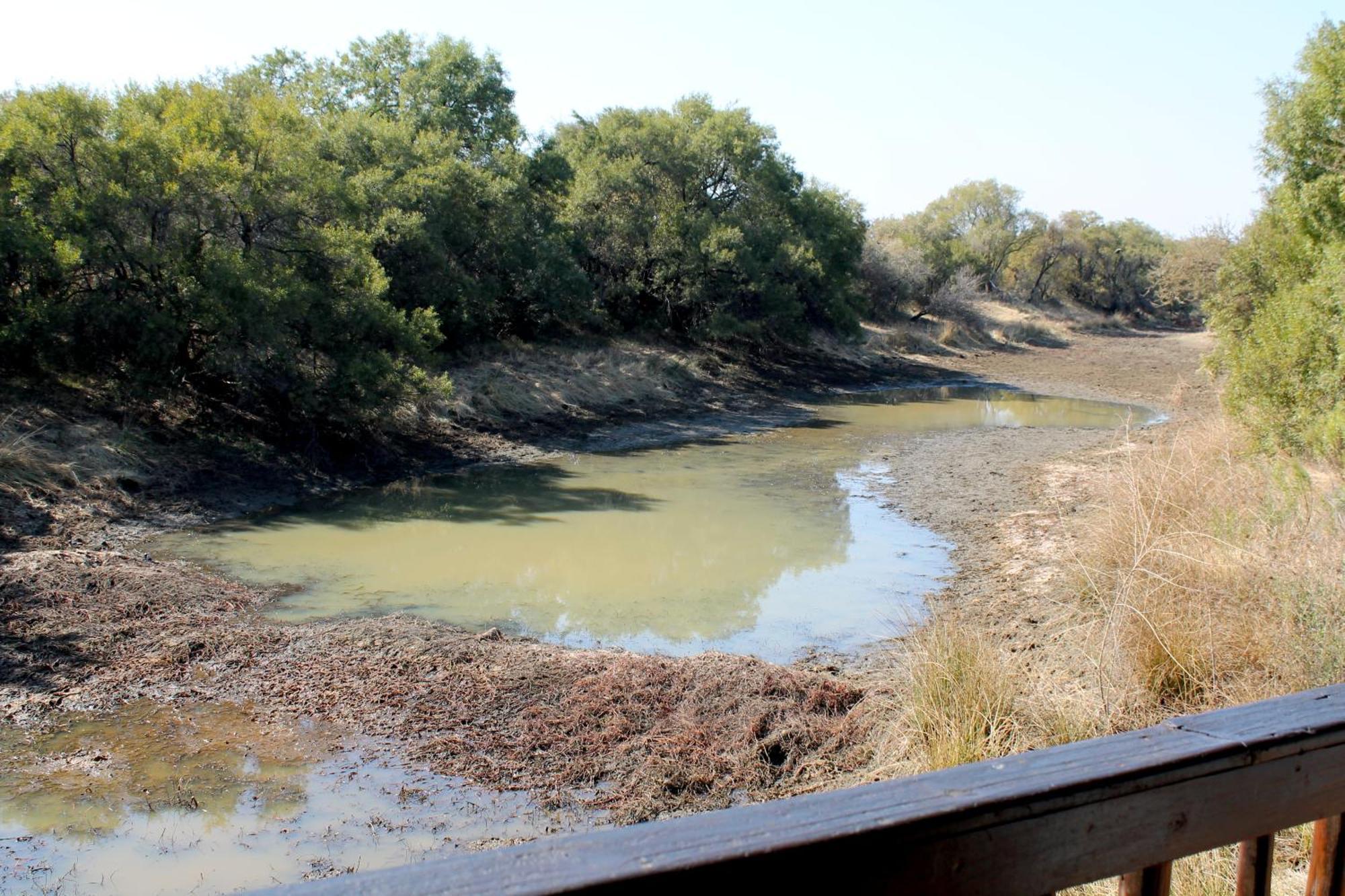 Ndlovu Log Home Dinokeng Klipdrift Εξωτερικό φωτογραφία